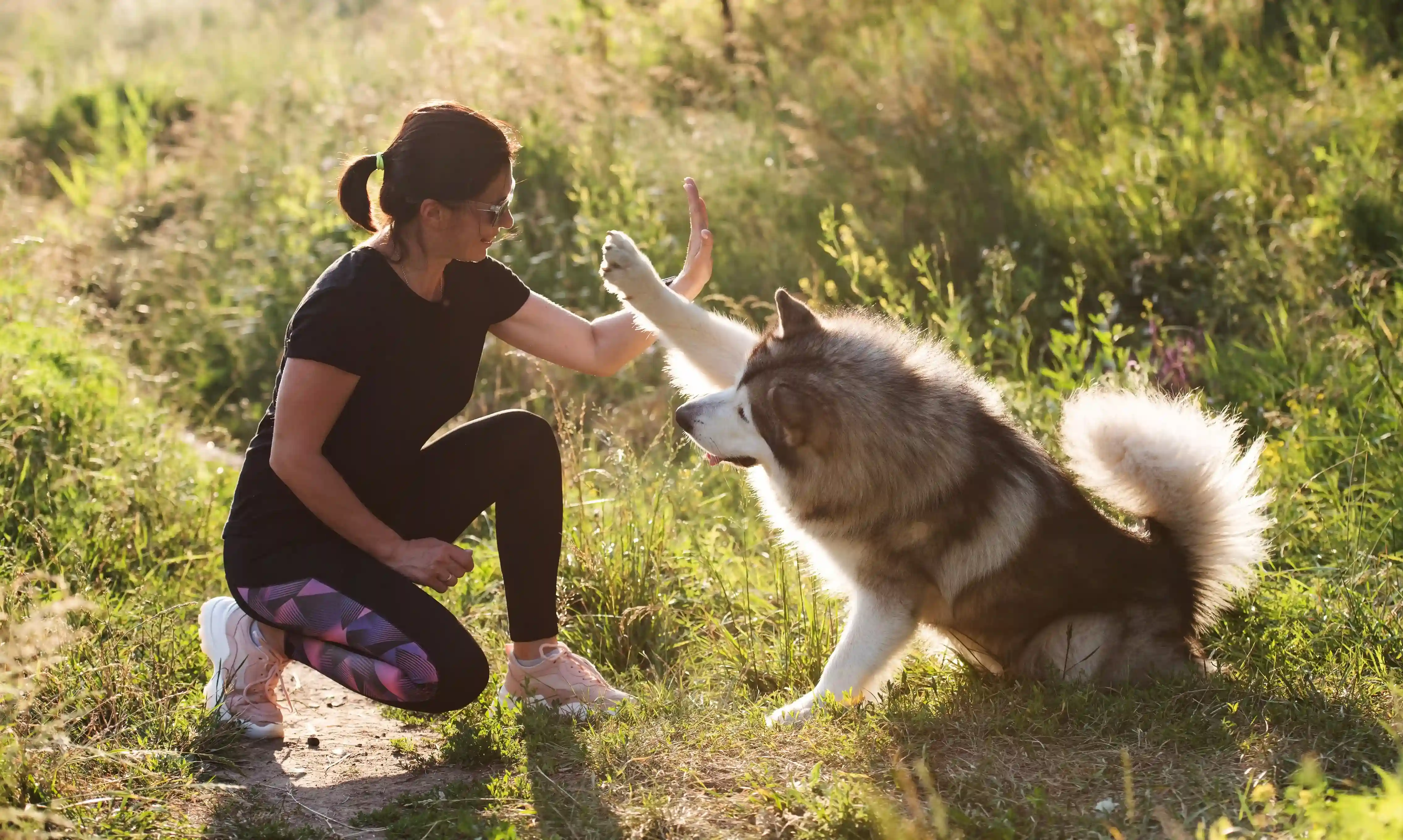 Senior enjoying companionship with a dog